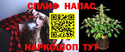 дурь Гусев