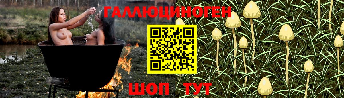 Алапаевск  Псилоцибиновые грибы Cubensis  Вход с VPN 